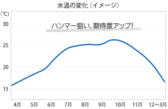 水温のイメージ