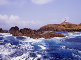 神子元島