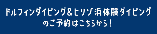 ドルフィンダイビング＆ヒリゾ浜体験ダイビングのご予約はこちらから！