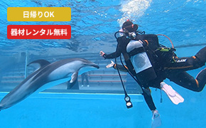 水族館でドルフィンダイビング