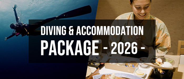 Diving & Accommodation Package