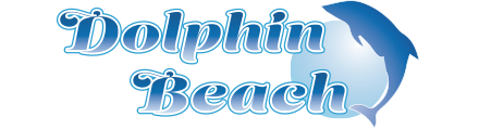下田海中水族館でのドルフィンふれあいプログラムを行う「ドルフィンビーチ」