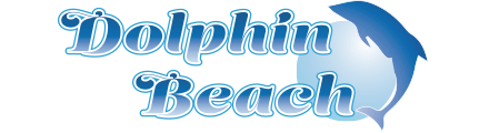 Dolphin Beach