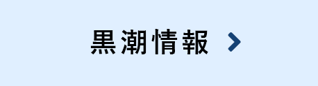 黒潮情報